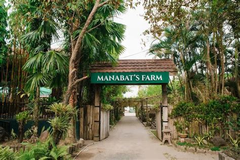 manibaug farm 🏕️|Manabat’s Farm .